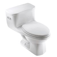 One Piece Toilet
